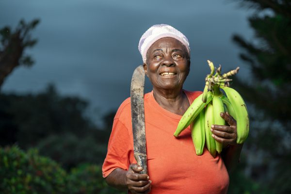 image of african aged woman, with farm produce and a tool- agricultural concept
